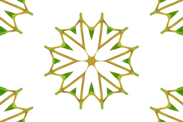 Obraz premium Abstract green background. Can used for object of seamless background.