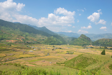 Paraglider flies over the Green, brown, yellow and golden rice terrace fields of Tu Le valley, Northwest of Vietnam	