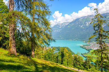 Amazing Brienz Lake in Interlaken, Switzerland photographed from the hiking path leading to Harder Kulm. Beautiful Swiss landscape. Green hills and Alpine lake in the valley. Summer Alpine landscapes