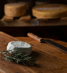 Soft creamy brie cheese with cut in half figs on white wooden background. Concept menu background