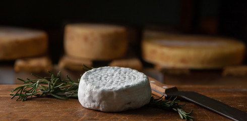 Soft creamy brie cheese with cut in half figs on white wooden background. Concept menu background