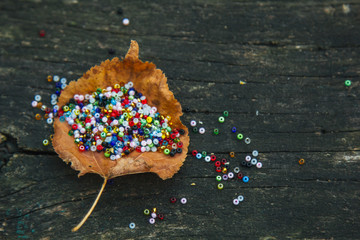 a lot of beautiful, colored beads are scattered on a wooden background and an autumn leaf. Place for text. Blank for needlework.