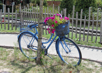 Fototapeta na wymiar Blaues Fahrrad mit Sommerblumen