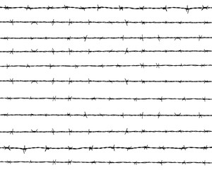 Black silhouette of the barbed wire on a white background - obrazy, fototapety, plakaty