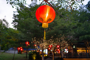 Chinese new year decorations