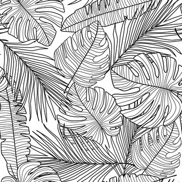 Monstera line leaves seamless pattern on white background.