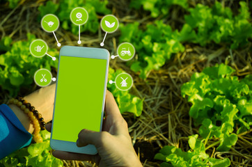 Control of agricultural products by using the smartphone AI application for quality products.