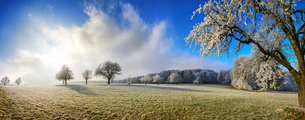 Selbstklebende Fototapeten Zauberhafte Winterpanoramalandschaft © Smileus