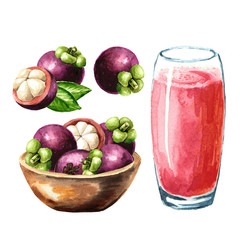 Bowl with fresh Mangosteen fruits and Glass of mangosteen juice set, Watercolor hand drawn illustration isolated on white background