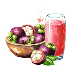 Bowl with fresh Mangosteen fruits and Glass of mangosteen juice, Watercolor hand drawn illustration isolated on white background
