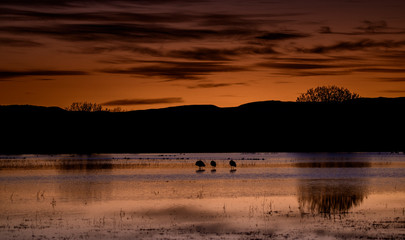 Sunrise over the lake