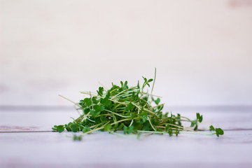 Fresh small microgreens in a pot on a light background.
