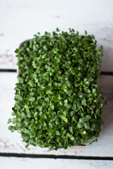 Fresh small microgreens in a pot on a light background.
