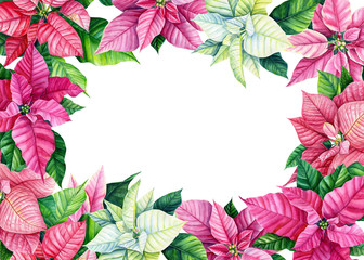 Frame of poinsettia on a white background. Watercolor illustration, greeting card with place for text, invitation