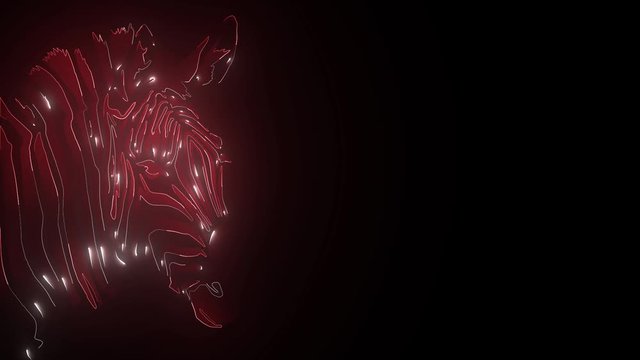 Zebra head digital video animation