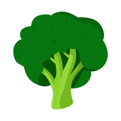 Isolated object of broccoli and vegetables symbol. Set of broccoli and green stock vector illustration.
