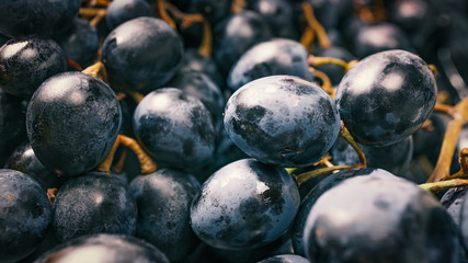 Grapes, macro photo. Close up of wine grapes, close up