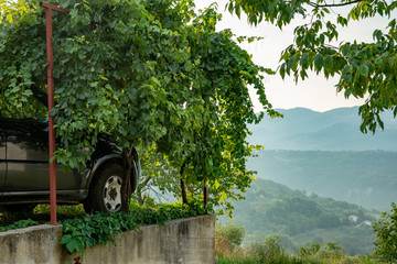 Fototapety na wymiar - Fototapeta24.pl