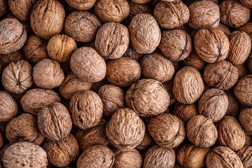 walnuts, unpeeled greek nuts, harvest of walnuts, walnuts closeup, background with walnuts,organic delicious nuts. healthy snack.