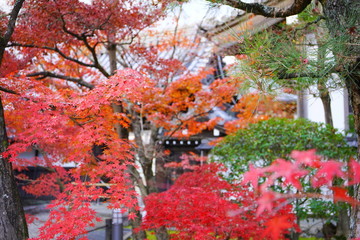日本の古都　京都の秋の風景　南禅寺と永観堂