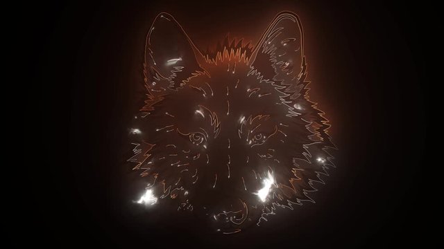 wolf head in front video