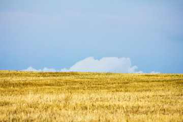 harvested field before a thunderstorm clouds