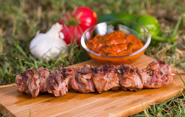 Outdoors summer barbecue, grilled kebab with vegetables and sauce. Placed on grass. Roasted meat. Selective focus.