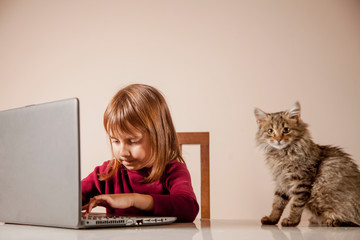 Little beautiful child girl working with laptop in office.  Beautiful cat sits on the table and assists in office work