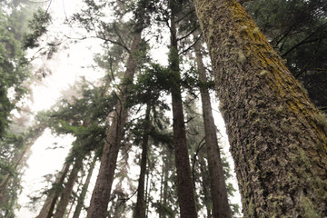 Landscapes. A trip to the lake in Dombai.