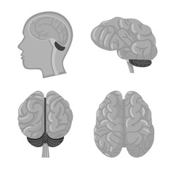 Isolated object of psychology and development symbol. Set of psychology and education stock vector illustration.