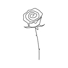 Continuous one line rose flower. Stock illustration.