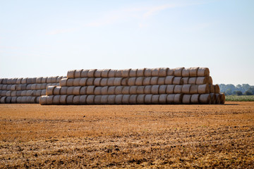 viele Strohballen die auf einem Feld für den Winter gestapelt sind