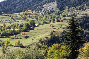 Obraz premium Autumn colors in the forest , highlands and mountain of savsat. Artvin province of turkey 