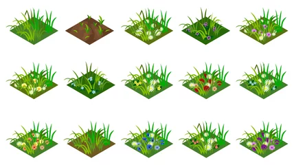 Gardinen Isometric grass and flowers set. Isolated tiles to create farm or garden landscape. For cartoon or game asset. Vector illustration © Amarylle