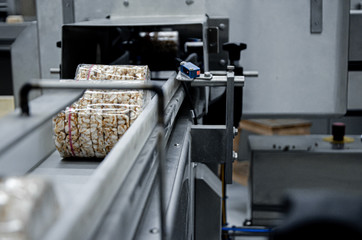 transportation from one process to another on food production line. Modern equipment food industry