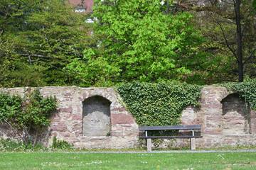 A wall made of stone blocks with a climbing plant on the territory of an old castle in Germany. Antique wall and bench