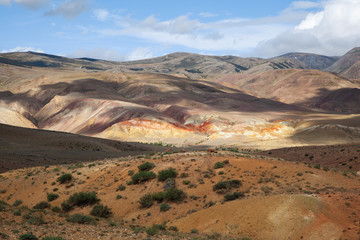 Fototapeta na wymiar altai canyon steppe and rocks