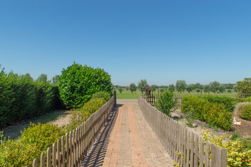 road in the front garden with a view