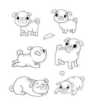 Cute cartoon pug set. Cheerful funny dog picture for the veterinarian. Vector