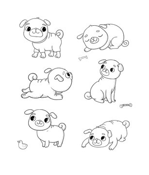 Cute cartoon pug set. Cheerful funny dog picture for the veterinarian. Vector