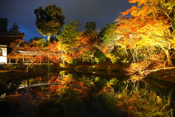 日本の古都　京都の高台寺のライトアップ
