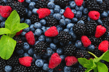 Blackberry, raspberry, blueberry and mint background.