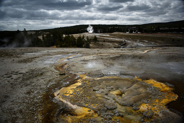 geyser at yellowstone