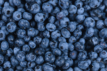 Fresh blueberry background. Texture blueberry berries close up.