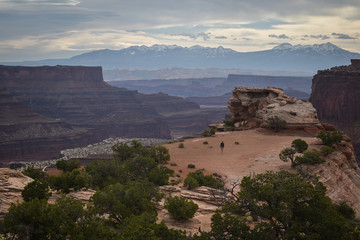 Fototapeta premium canyonlands national park