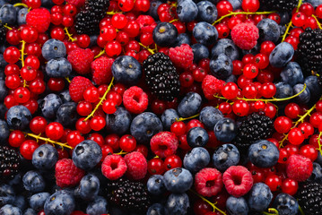 Blackberry, raspberry, blueberry,  red currant and mint background.