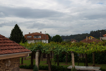 Tui,Spain,9,2014; Border with Portugal, Tui is perched on a hill, next to the Miño River. It is a monumental city.