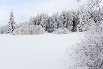 Snowy winter landscape