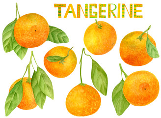 Watercolor tangerine set. Hand drawn lettering and botanical illustration of mandarins with leaves. Clipart citrus elements isolated on white background.