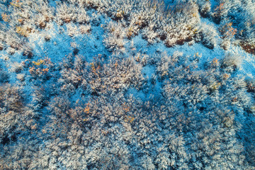 Aerial view of frozen forest of pine and fir trees in the mountain
